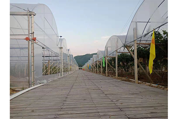 水果基地