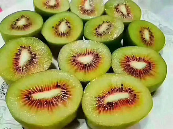 紅心紅陽獼猴桃